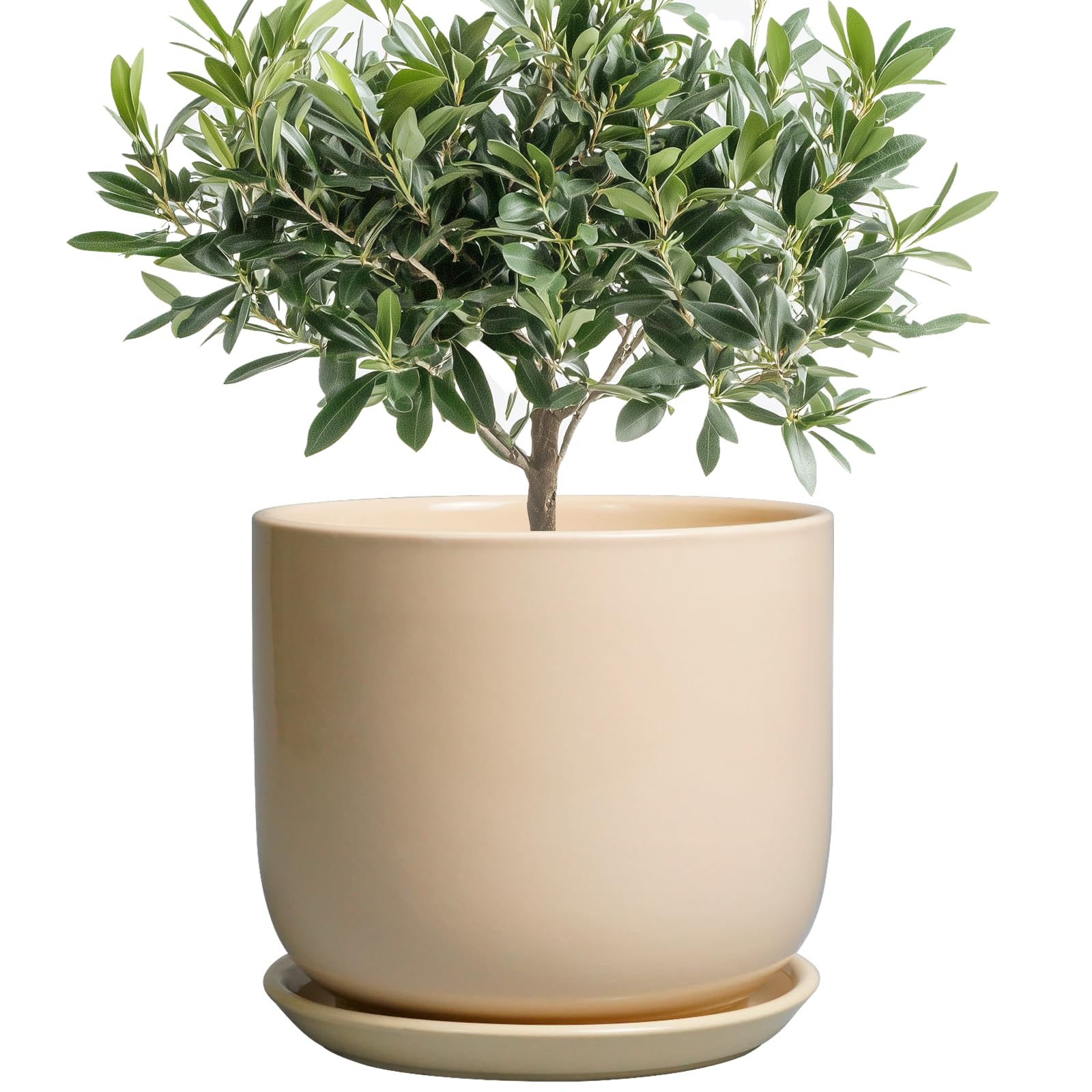 Amazon.com : SUNPOTFOR Ceramic Planter - Round Modern 8 Inch Plant